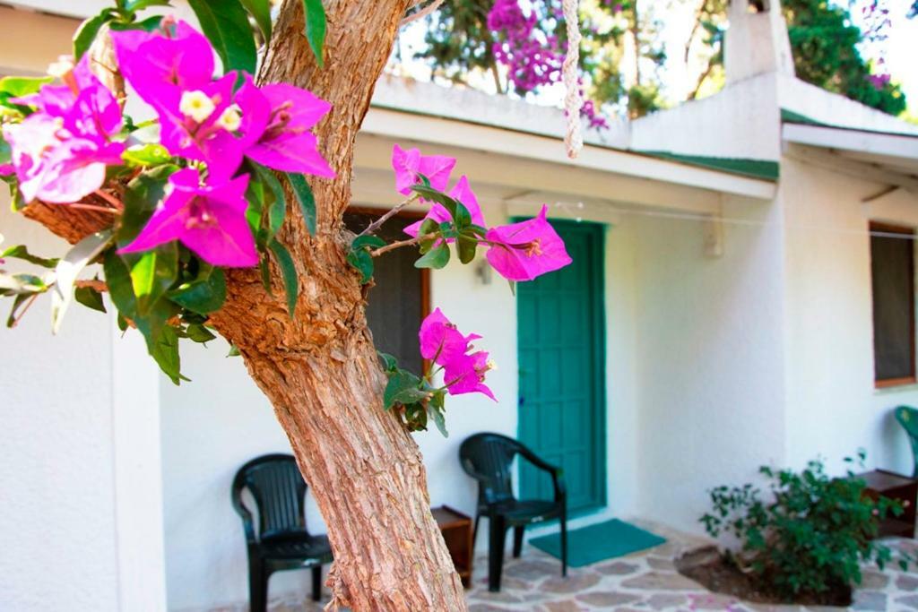 Myndos Bed & Breakfast Bodrum Exterior foto