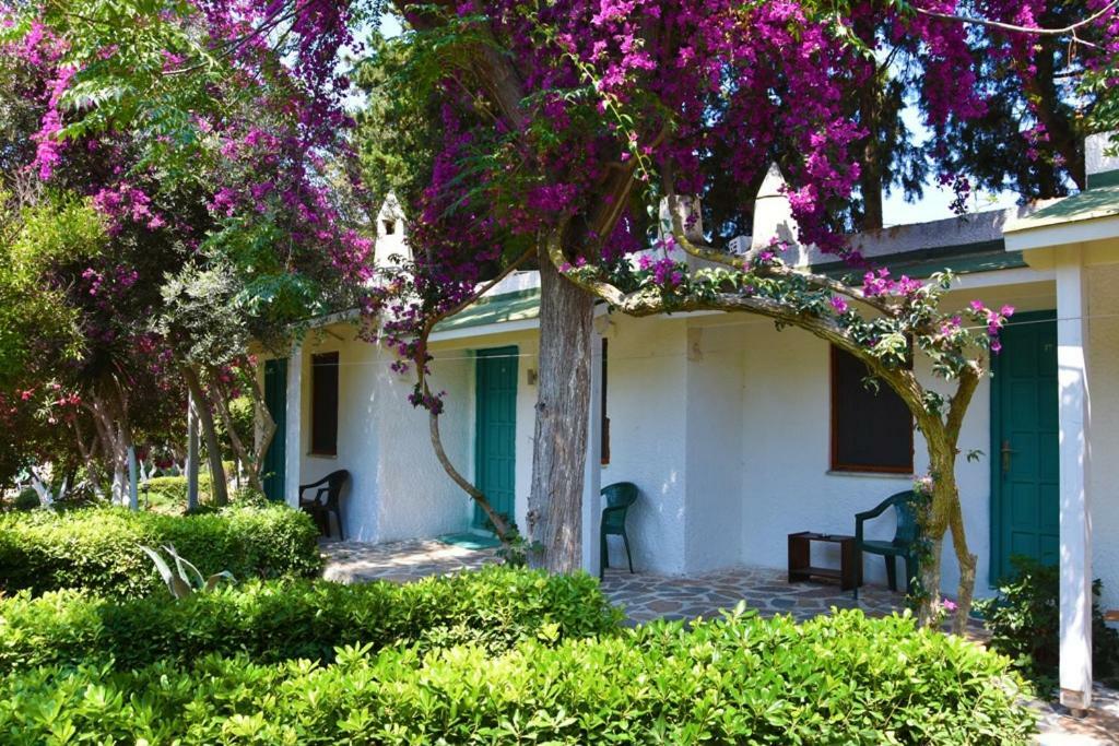 Myndos Bed & Breakfast Bodrum Exterior foto